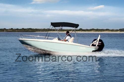 Boston Whaler 160 Super Sport ficha tecnica
